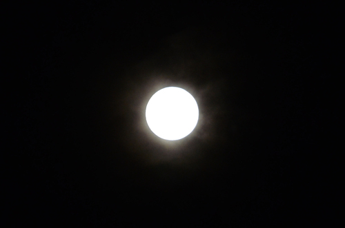 c0198263_11424130.jpg