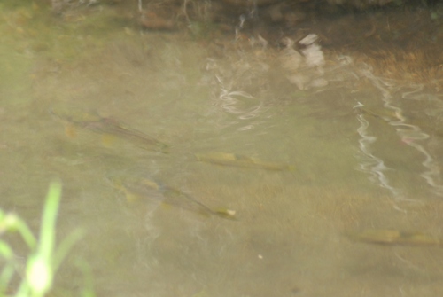e0151566_20424437.jpg