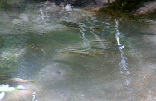 e0151566_2043784.jpg