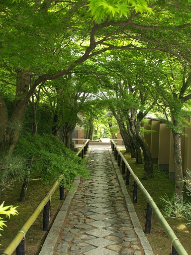 e0078071_20364213.jpg