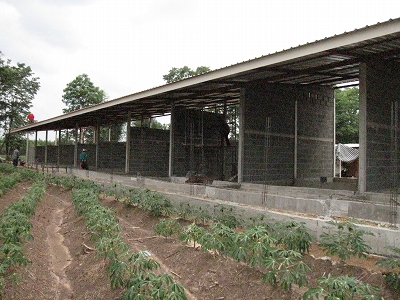 d0144077_1561052.jpg