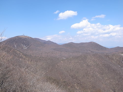 a0094280_21223667.jpg