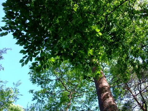 a0043982_2112596.jpg