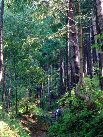 a0043982_2121146.jpg