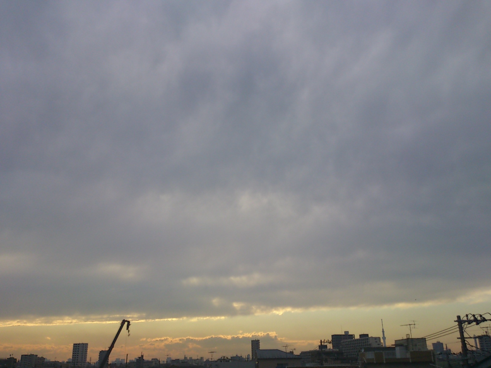 a0077185_23272670.jpg
