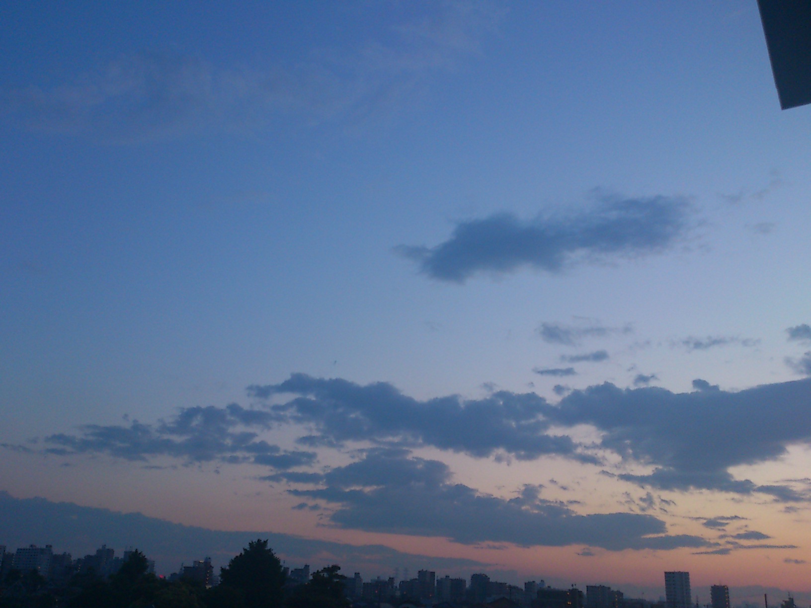 a0077185_23272699.jpg