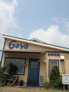 e0130185_1134579.jpg