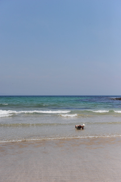 f0112087_14511231.jpg