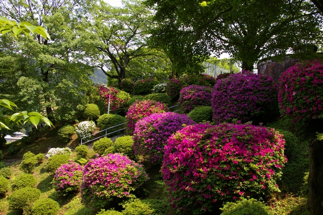 b0080789_22343738.jpg