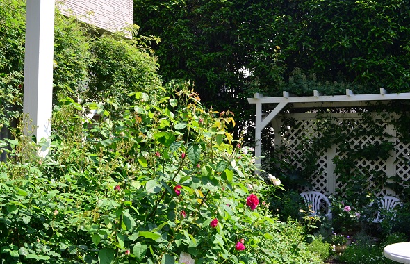 d0099791_0171811.jpg