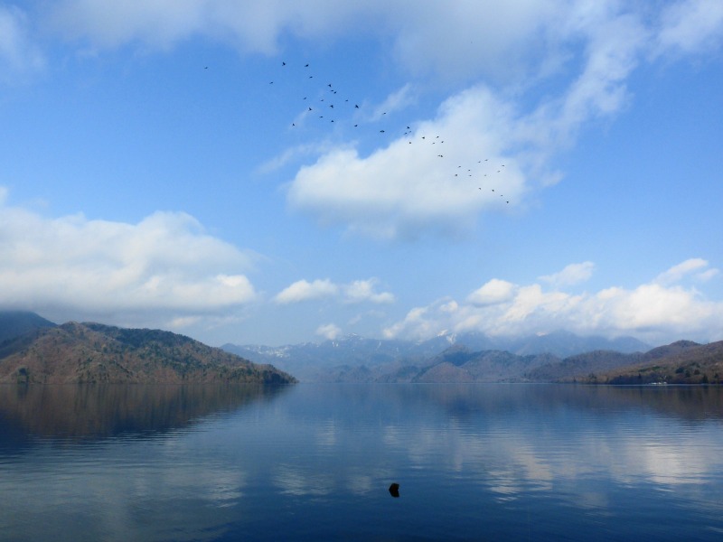 e0202393_158163.jpg