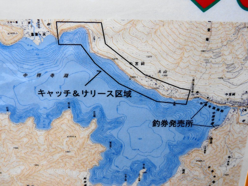 e0202393_1591930.jpg