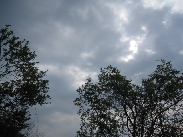 b0249296_1055661.jpg
