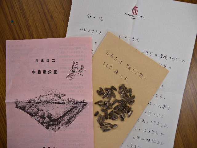a0199297_1621302.jpg
