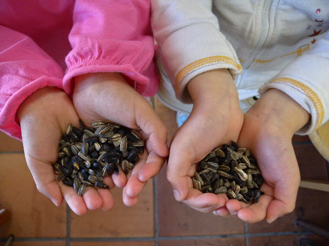 a0199297_16352349.jpg