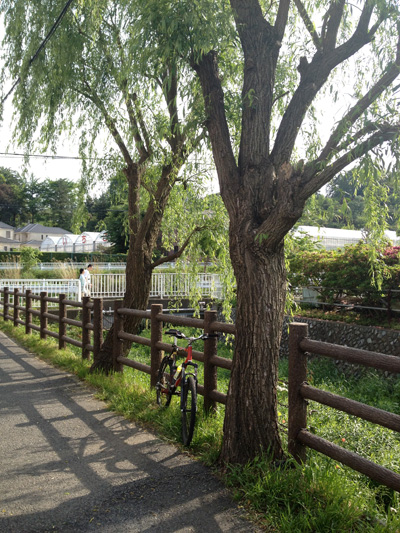 b0097200_23553255.jpg