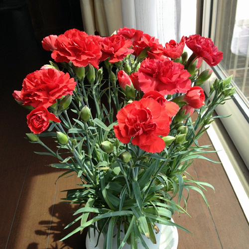 a0000004_1153748.jpg