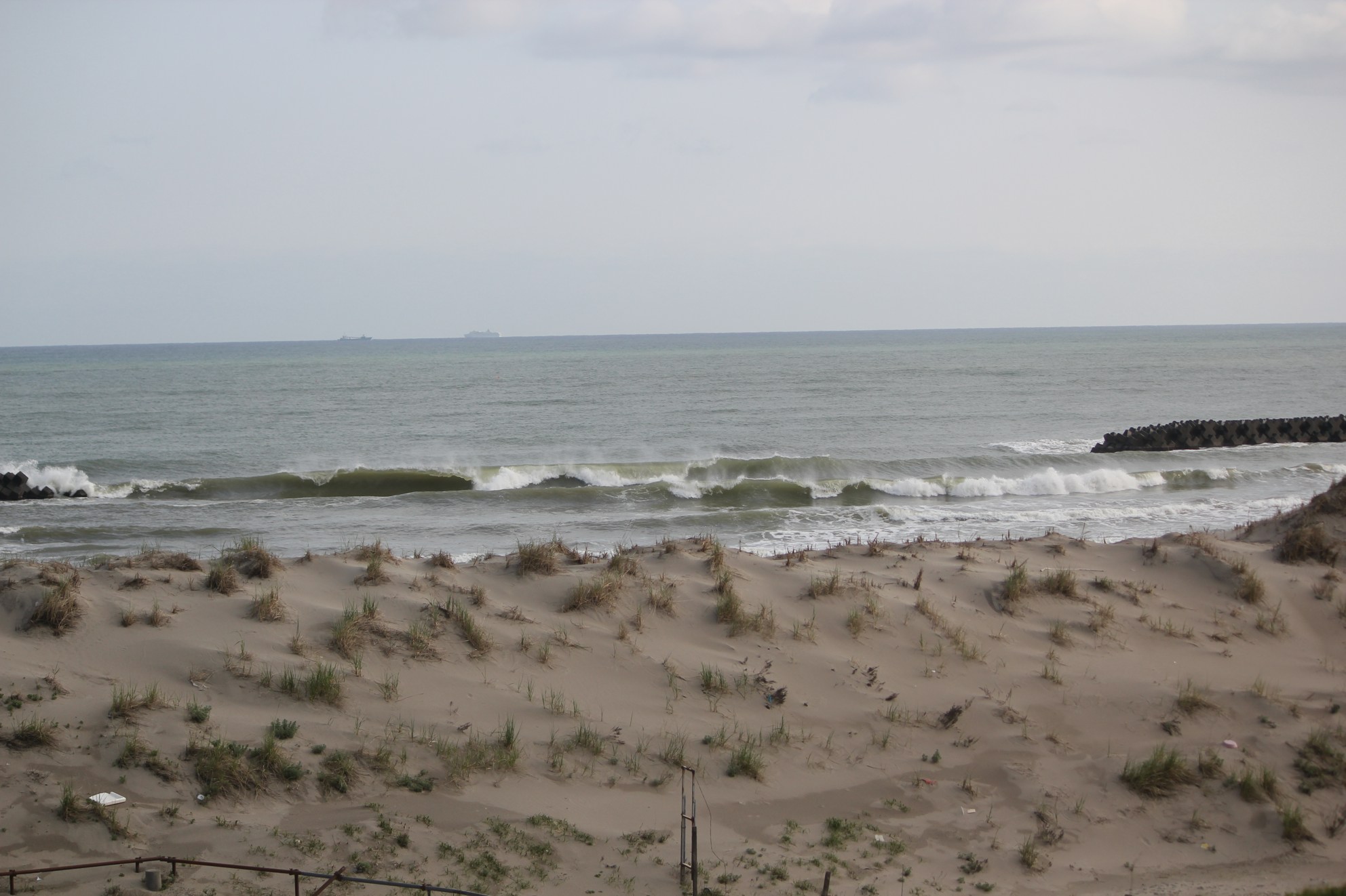 a0264604_815423.jpg