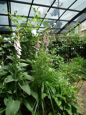 e0234004_20112767.jpg
