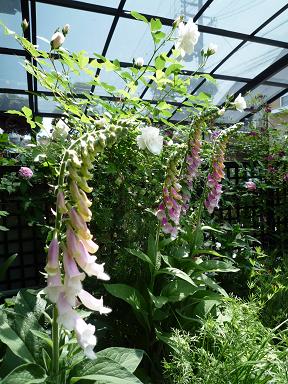e0234004_201194.jpg