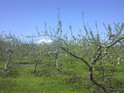 e0242504_13363650.jpg