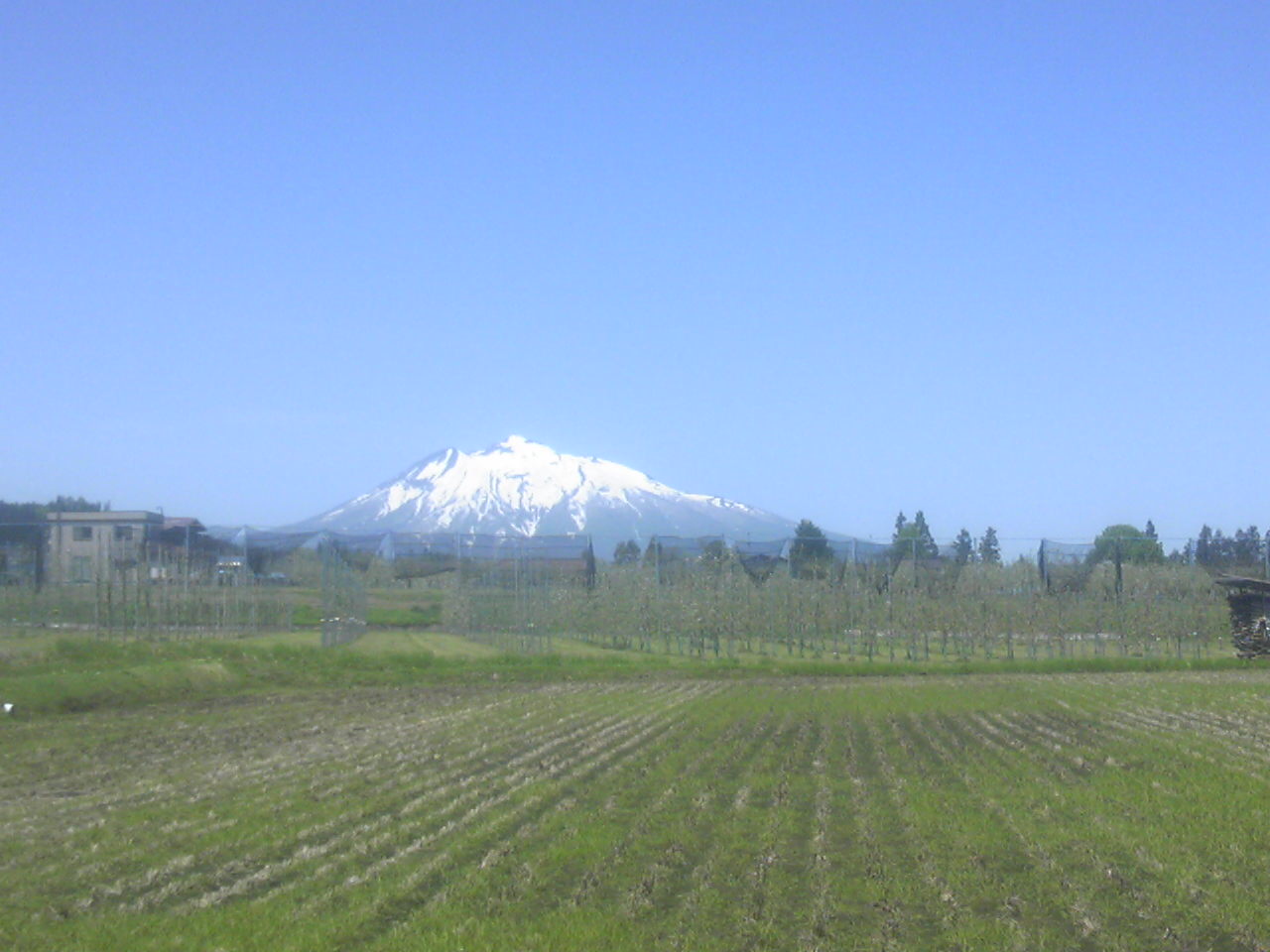 e0242504_1475114.jpg
