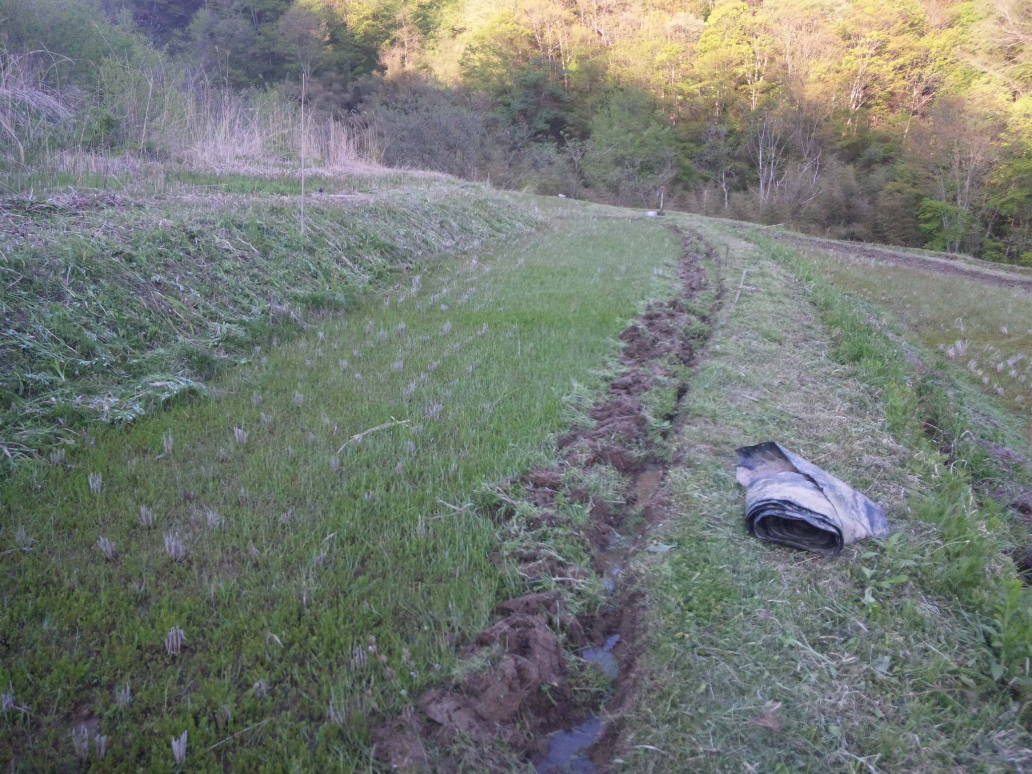 c0126205_1821016.jpg