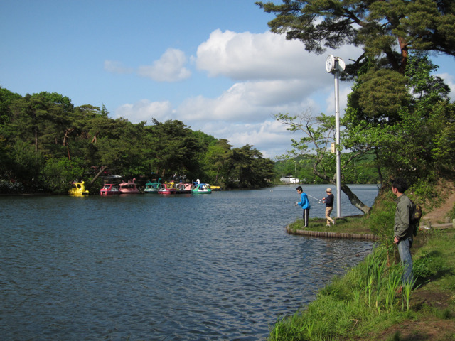 a0129311_17215620.jpg