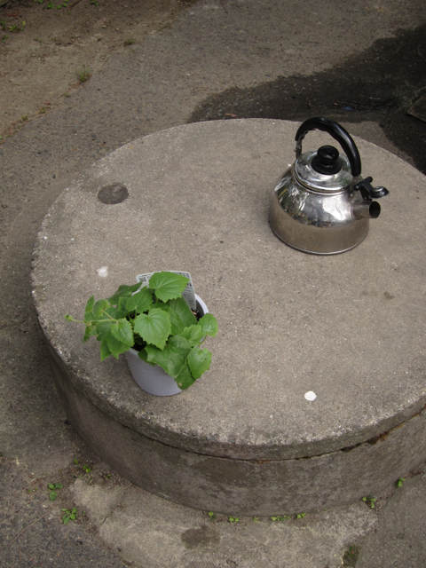 a0129311_1726281.jpg
