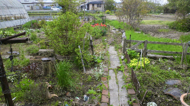 b0035611_21563771.jpg