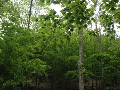e0268613_322540.jpg