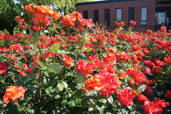 c0020320_12867.jpg