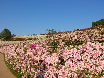 e0123322_2348854.jpg