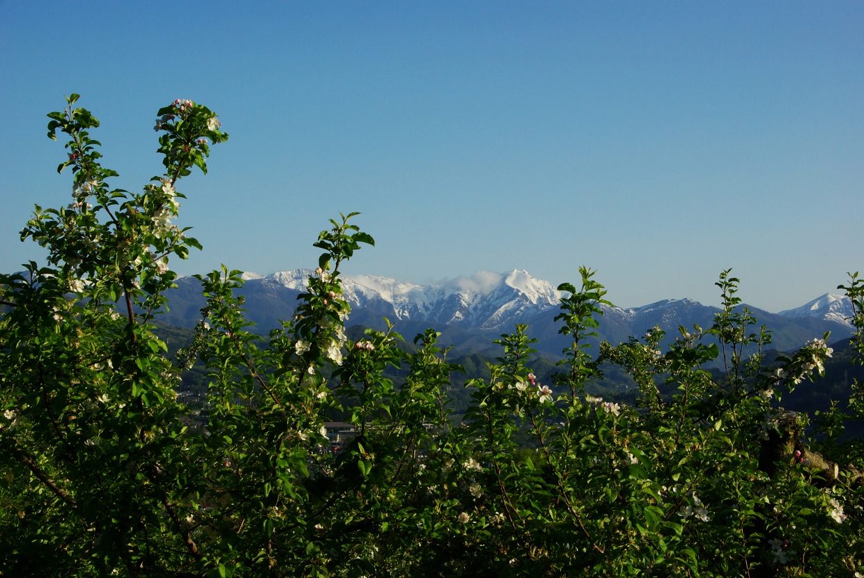 b0062024_7202651.jpg