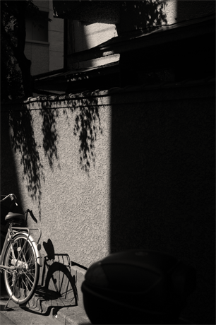 e0205625_16381854.gif