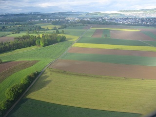 c0051529_1705773.jpg
