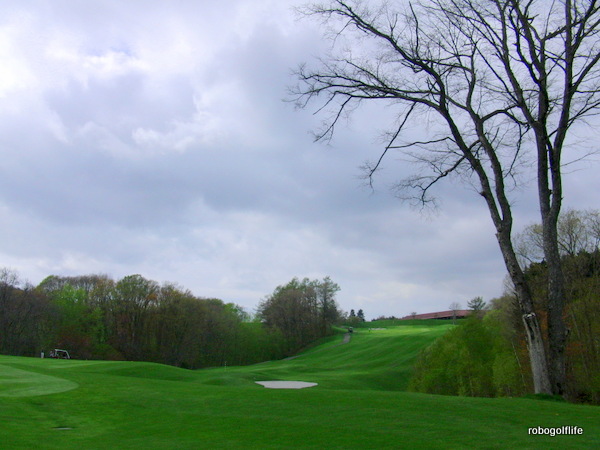 c0199829_17152191.jpg