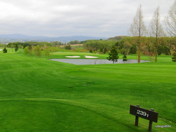 c0199829_17152495.jpg
