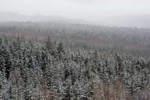 e0025030_8251059.jpg