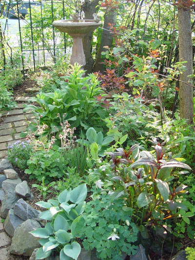 f0060535_21364240.jpg