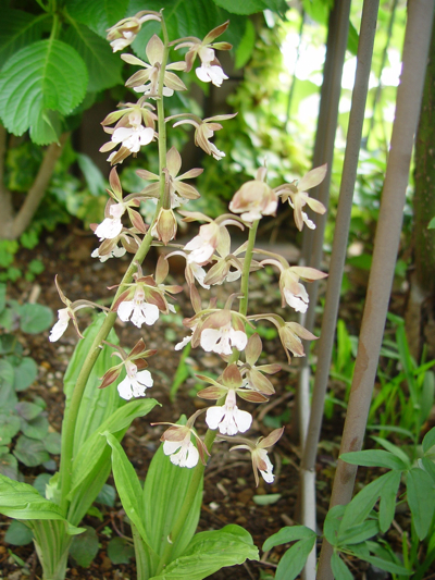 f0060535_21375169.jpg