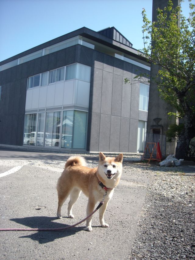 b0174236_15523559.jpg