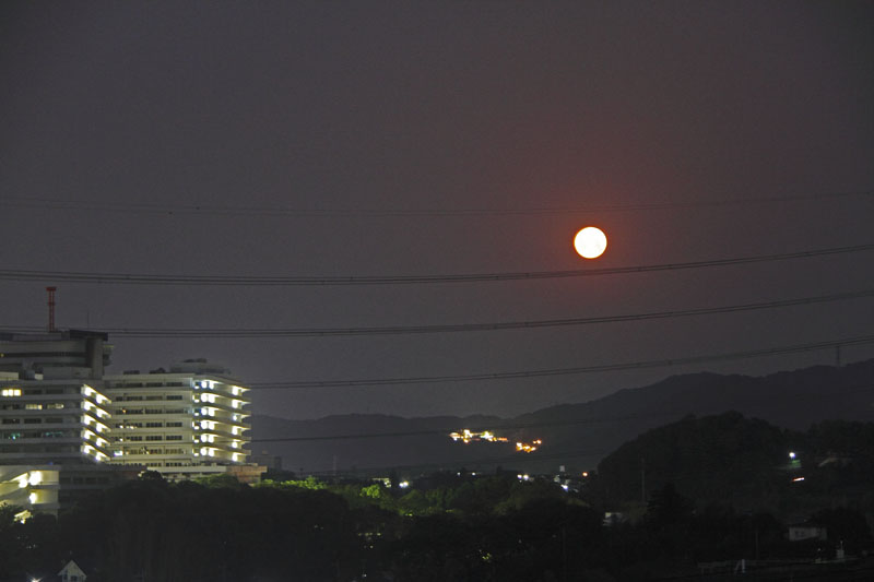 b0042837_833789.jpg