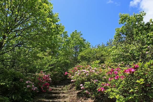 a0242438_22485219.jpg