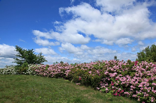 a0242438_22485973.jpg
