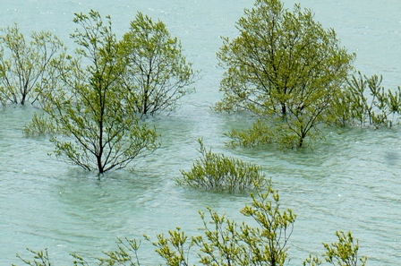 c0204740_16224486.jpg