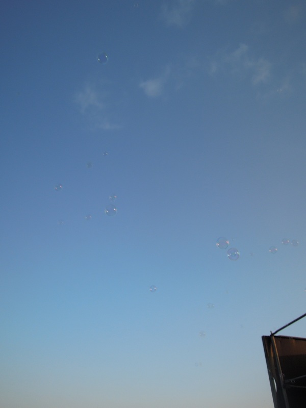a0200943_2141793.jpg
