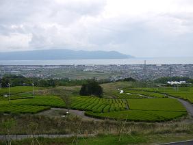 d0153652_4531068.jpg