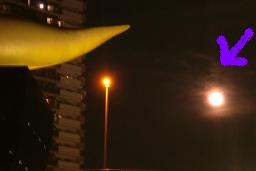 d0153652_6472516.jpg