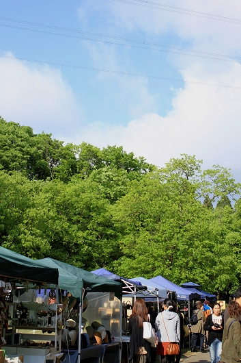 f0108553_1957412.jpg